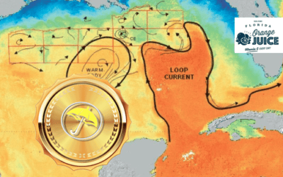 The Loop Current: Possible late September major Florida hurricane & the India Monsoon and gold prices